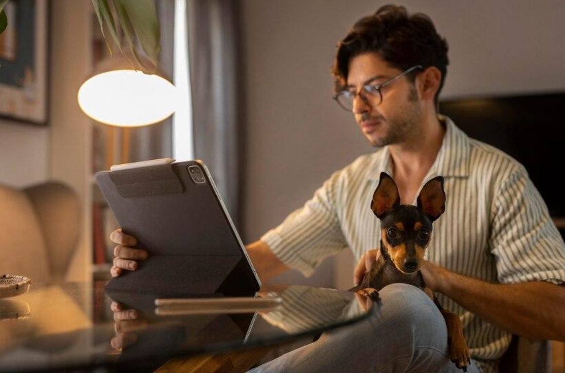 Adventuring with Your Pet: A Digital Nomad's Guide to Success