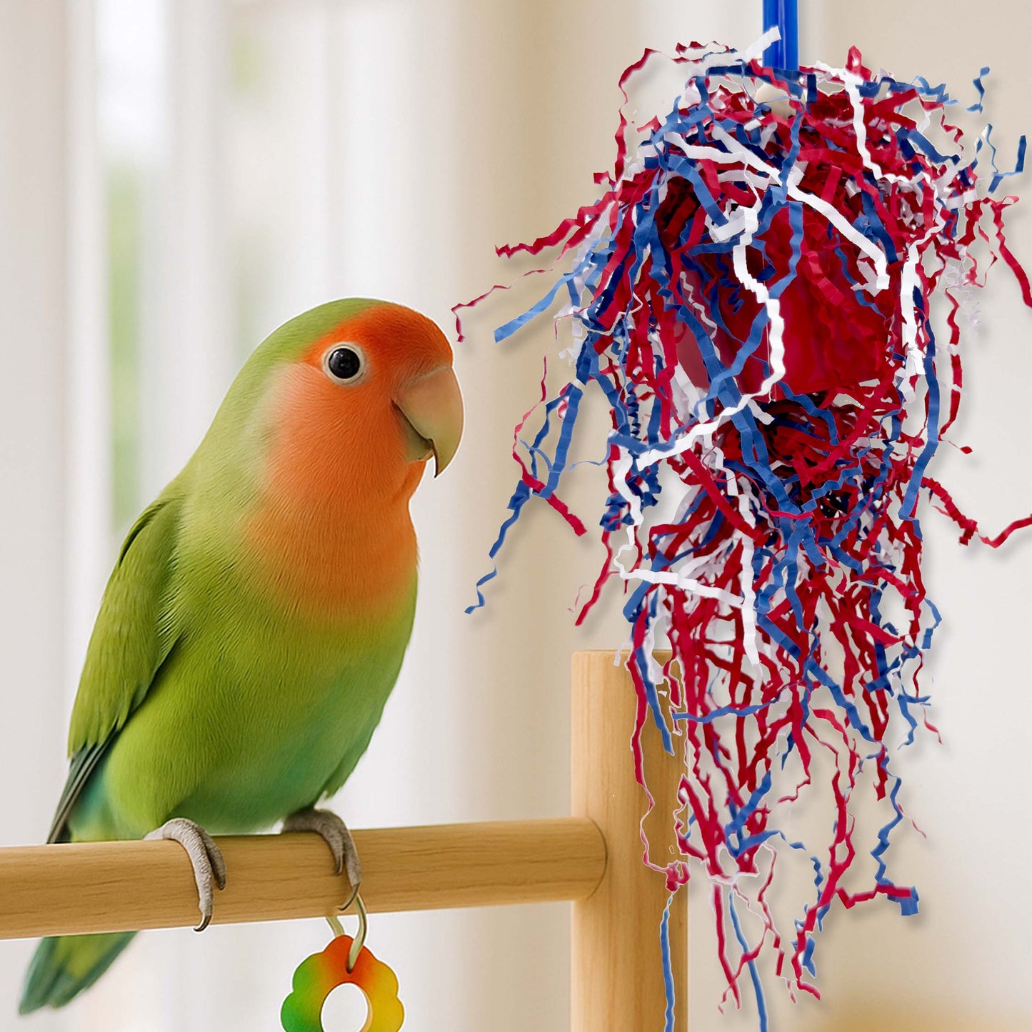 2199 USA Shreddy Box