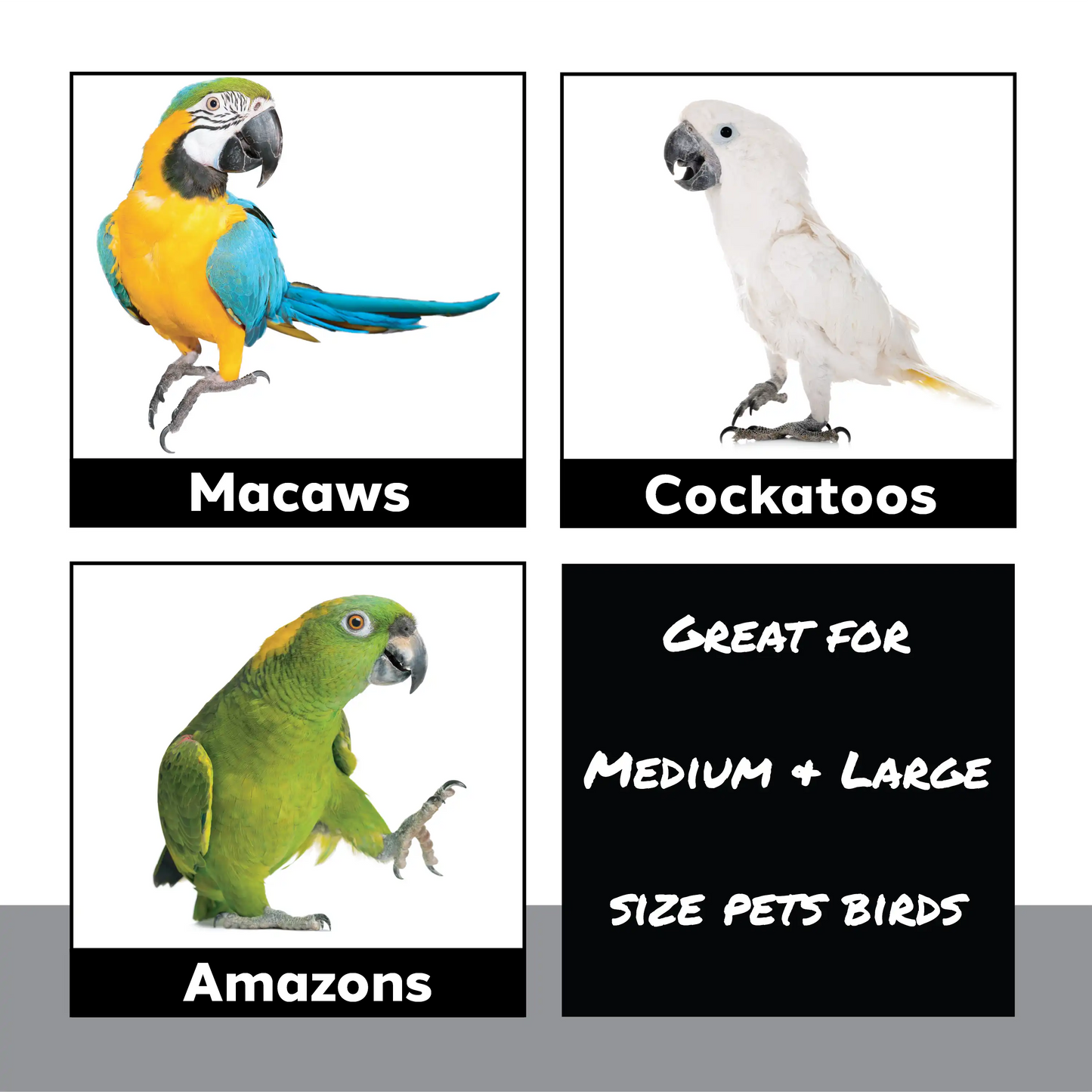 1665 Natural Double Blocker