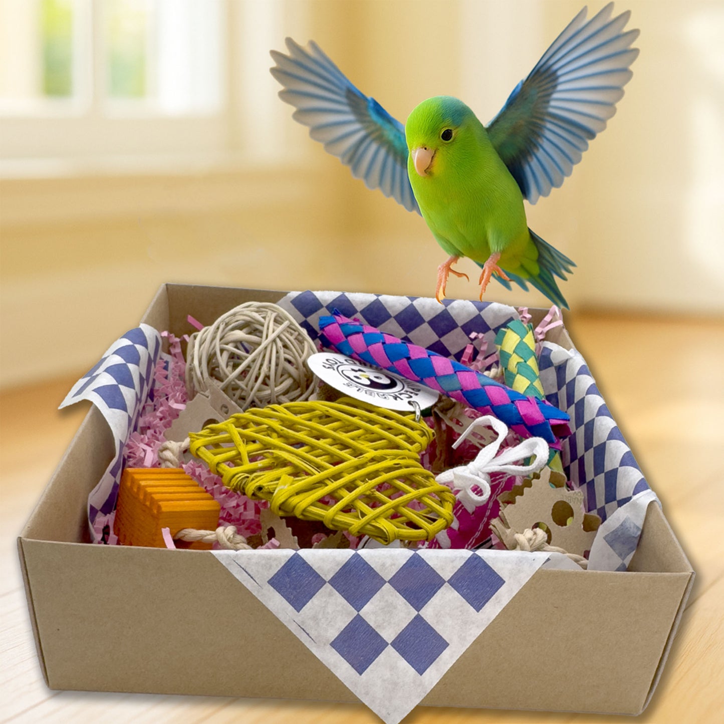 3101 Checker Chew Foraging Box
