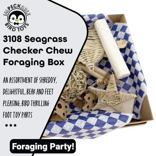 3108 Seagrass Checker Chew Foraging Box