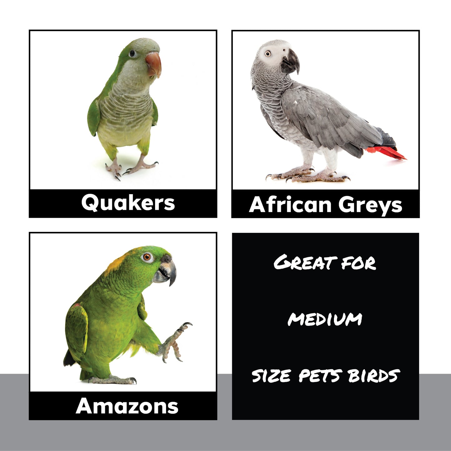 1930 Pk2 Medium Sola Cupcake