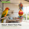 2131 Maraca Pinata Shredder