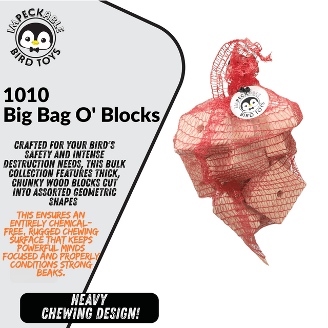 1010 Big Bag O' Blocks
