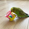 1309 Rolly Cages