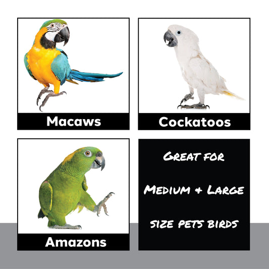 1315 Triple Jack O Lantern