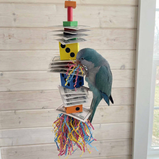 1474 Money Deck Dice