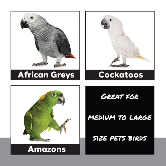 1810 Large Rainbow Blocker