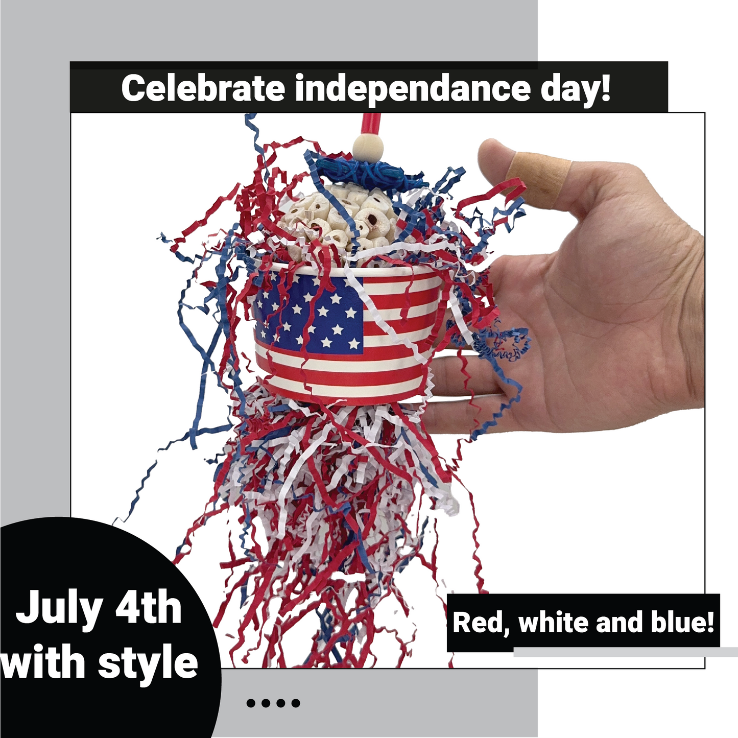 2130 American Flag Sola Forager