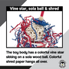 2130 American Flag Sola Forager