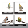 2197 Bird-Fetti Piñata