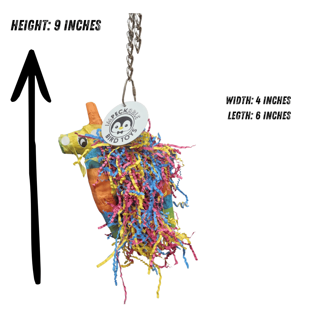 2197 Bird-Fetti Piñata