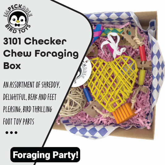 3101 Checker Chew Foraging Box