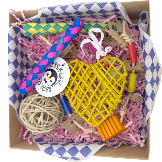 3101 Checker Chew Foraging Box