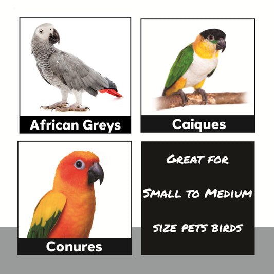 3106 Bamboo Heart Foraging Box