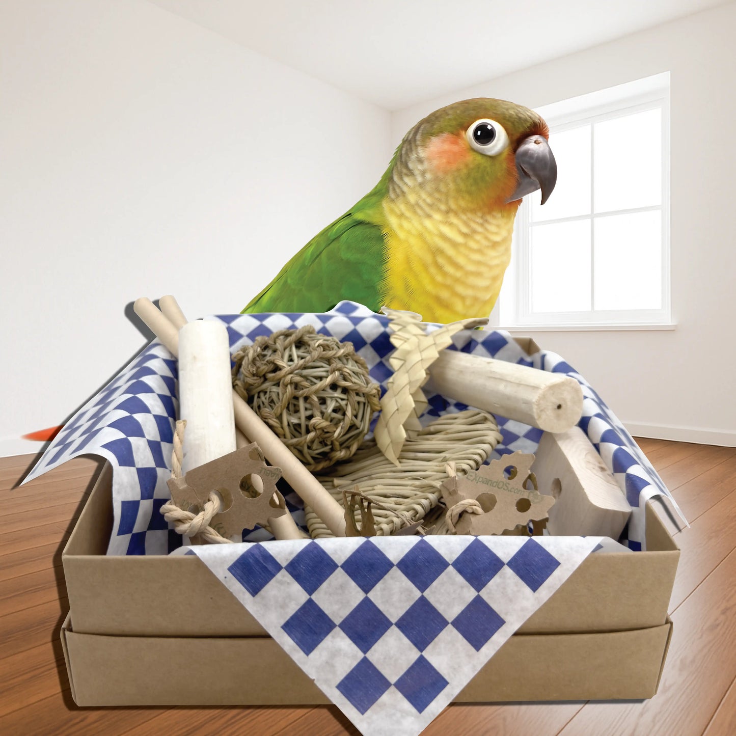 3108 Seagrass Checker Chew Foraging Box