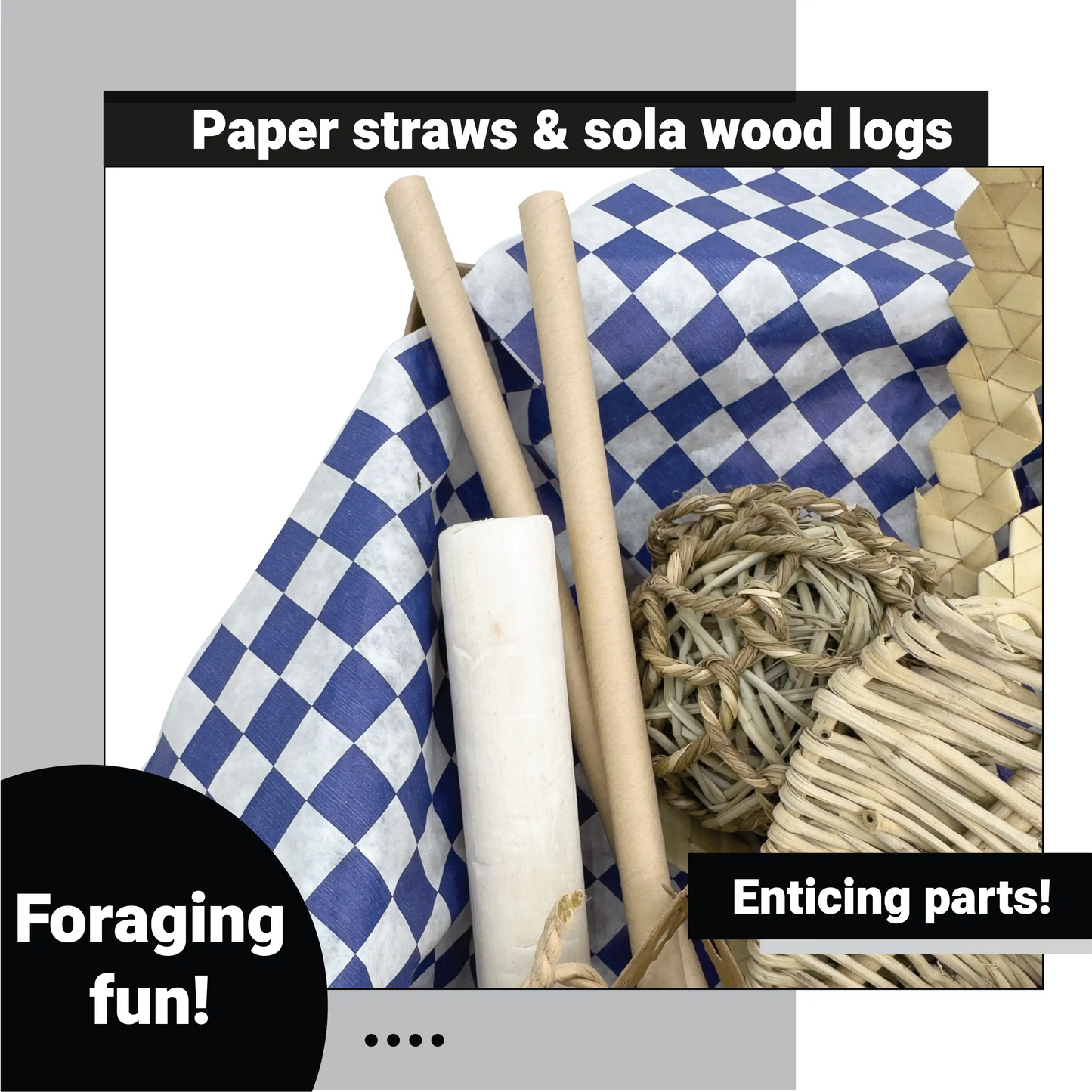 3108 Seagrass Checker Chew Foraging Box