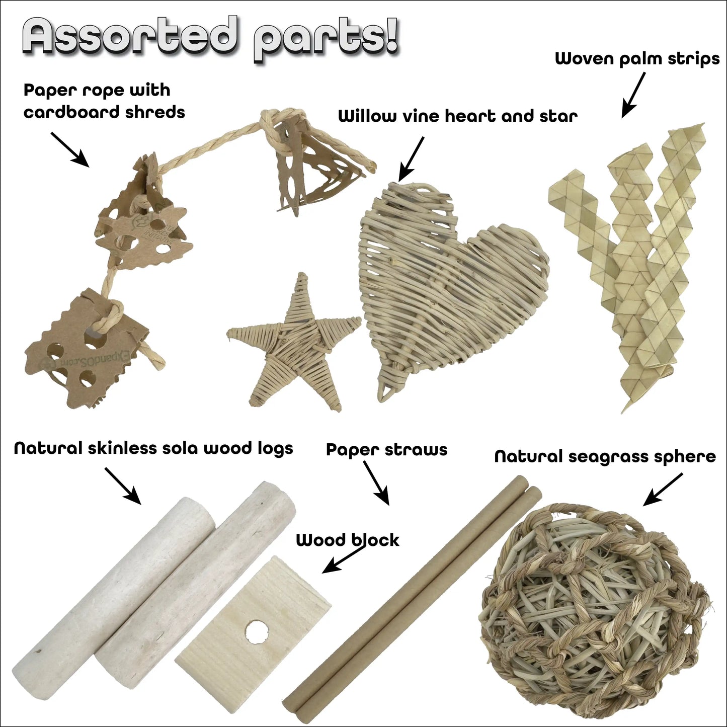 3108 Seagrass Checker Chew Foraging Box