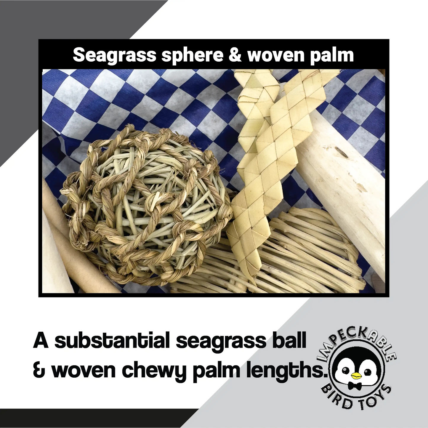 3108 Seagrass Checker Chew Foraging Box