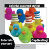 801 Pk3 Party Ducks