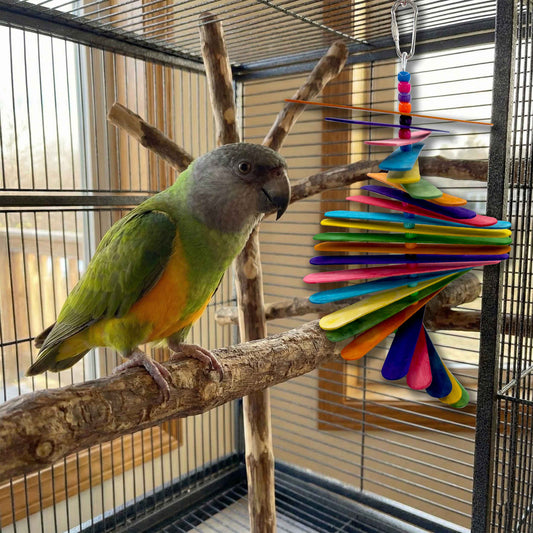 867 Big Rainbow Sticky