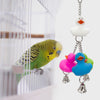 922 Rainbow Duck Ringer