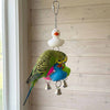 922 Rainbow Duck Ringer