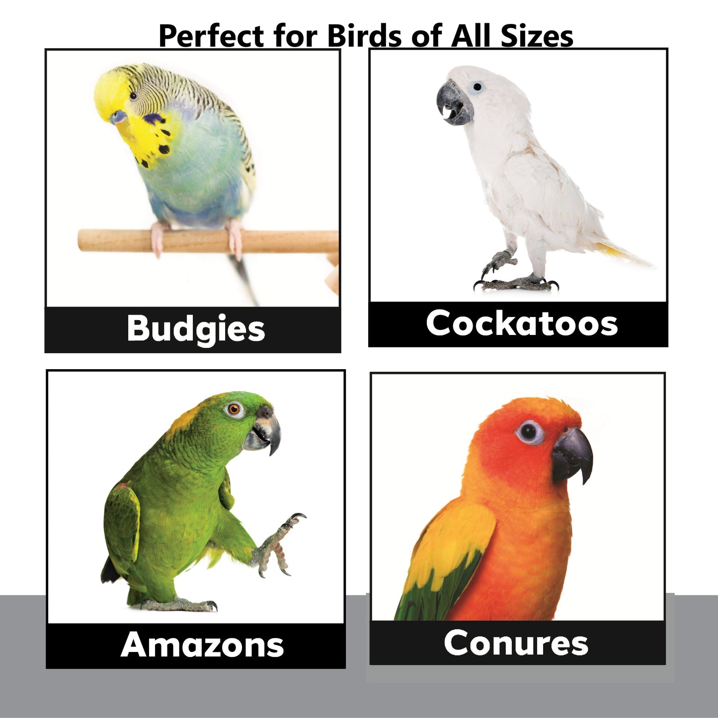 1309 Rolly Cages