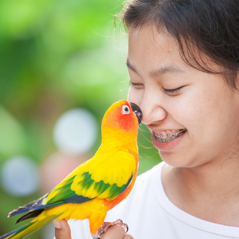 We’re Real People Who Love Birds